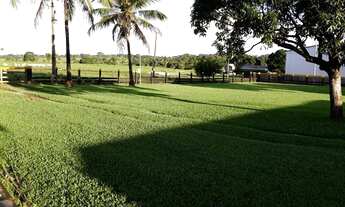 Imagem 3: Fazenda em Juara Mato Grosso