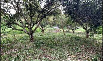 Imagem 3: Vendo terreno medindo 12 de frente por 36 metros de fundo , condomínio pousada nativa