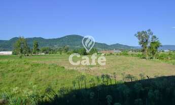 Imagem 4: Santa Maria - Apartamento Padrão - Pé de Plátano