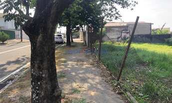 Imagem 6: Campinas - Terreno Padrao - Jardim Nova Europa