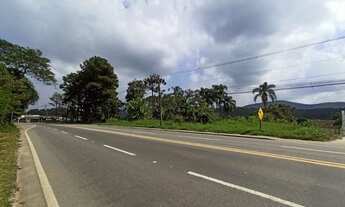 Imagem 2: ÁREA COMERCIAL/INDUSTRIAL À VENDA e LOCAÇÃO, RODOVIA ÍNDIO TIBIRIÇÁ, PALMEIRAS, SUZANO
