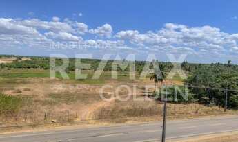 Imagem 3: Terreno no Pecém 59 ha - São Gonçalo