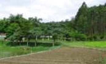 Imagem 5: Área de 22.569 m² - Sertãozinho - Biritiba Mirim - SP