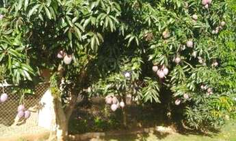 Imagem 4: Chácara com 4 dormitórios à venda, 2000 m² por R$ 380.000,00 - Santa Ella - Araçariguama/S