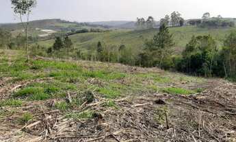 Imagem 4: Sitio 4 alqueires Pilar do sul sp