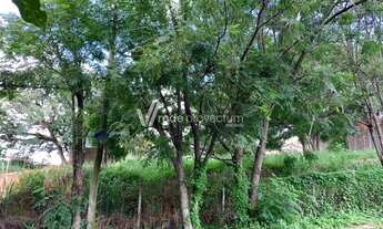 Imagem 5: Campinas - Terreno Padrao - Bairro das Palmeiras
