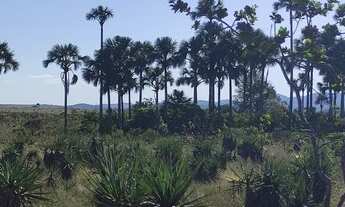 Imagem 3: Chácara Vale Verde - Próximo a Pousada Woodstock e Inácia - Alto Paraíso de Goiás