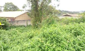 Imagem 6: Terreno para Venda em Quatro Barras, Jardim Orestes Thá