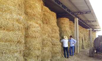 Imagem 6: Fazenda em Juara Mato Grosso