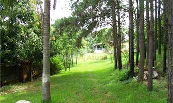 Imagem 5: Sítio Rural à venda, Joaquim Egídio, Campinas - SI0001