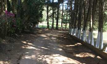 Imagem 6: Fazenda/Sítio/Chácara