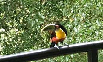 Imagem 6: Apartamento com 3 dormitórios à venda, 90 m² por R$ 848.000,00 - Butantã - São Paulo/SP