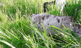 Imagem 3: Chácara com 8300 m², pertinho de Guarapari