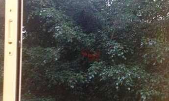 Imagem 3: Apartamento com 3 dormitórios à venda, 90 m² por R$ 848.000,00 - Butantã - São Paulo/SP