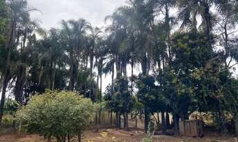 Imagem 3: Chácara Chácara com venda por R$250.000