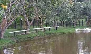 Imagem: Vendo Sitio em Itajuípe - BA com riacho
