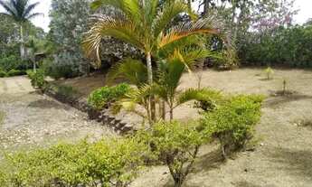 Imagem 4: Chácara Chácara com venda por R$400.000