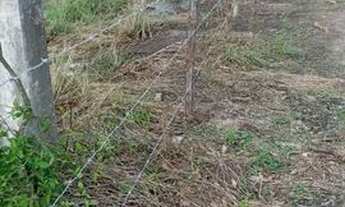 Imagem 4: Lote em Gravatá