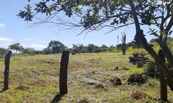 Imagem 2: Vende-se chácara 1 alqueire