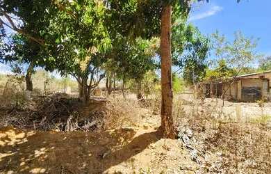 Imagem 5: Excelente Chacara com 2 Hectares, no Capão cumprido