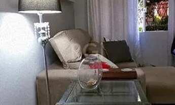 Imagem 7: Apartamento para Venda - 38.01m², 1 dormitório, Petrópolis