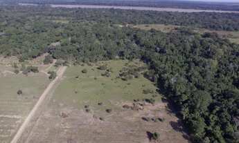 Imagem: Terreno para arrendamento em Linhares-ES