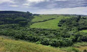 Imagem 6: 13 Hectares por 190 MIL em Mariana Pimentel - 80 km de POA