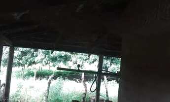 Imagem 2: Chácara a 60 km de Goiânia