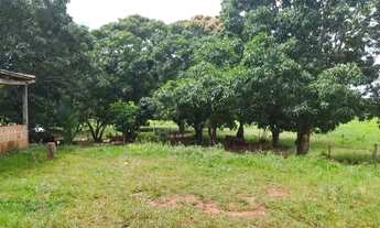 Imagem 5: SÍTIO 40 HA - RODA D´AGUA - NOBRES