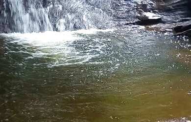Imagem 6: Fazenda com 68 hectares, há 1km da BR 030 , composta por cacau, pasto, mata e muita água