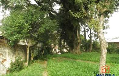 Imagem 3: Casa à venda, 3 quartos, 10 vagas, Glória - Porto Alegre/RS