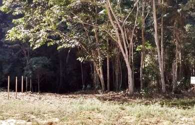 Imagem 4: Sítios ou chácaras