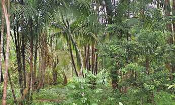 Imagem 5: Vendo casa em bom jardim da barreta