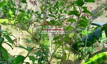 Imagem 2: ITABORAÍ -Sitio 5000m2 com casa de 4 quartos bairro Calundu