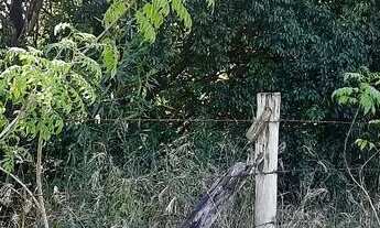 Imagem 3: Vendo terreno de mil metros em Araçoiaba da Serra SP