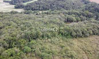 Imagem: Chácara em Araucária / Camundá