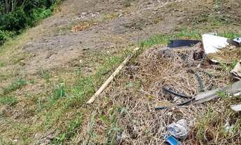 Imagem 2: Terreno proximo Supermercado Coema - Novo Aleixo