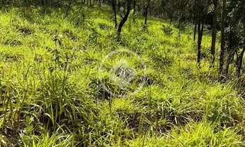 Imagem 3: Terreno à venda codigo: 141831