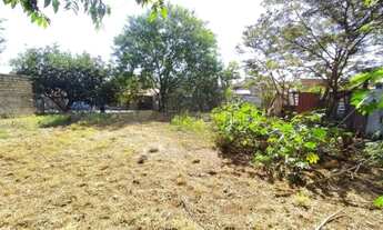 Imagem 5: Terreno de 4.989m² para locação e venda - Parque dos Pinus