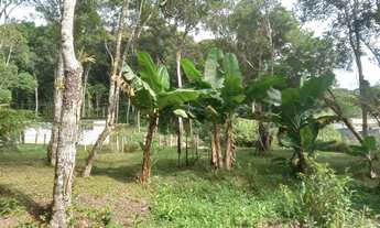 Imagem 5: Chacara apenad 2,5 do asfalto 150 mil rrais