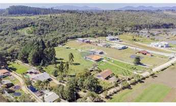 Imagem 4: Terreno 10.000m² Estrada Corredor Butiá, próximo escola Ares de Armas, valor R$ 1.860.000