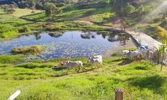 Imagem 2: FAZENDA PRÓXIMO DE AMARGOSA - 50 TAREFAS