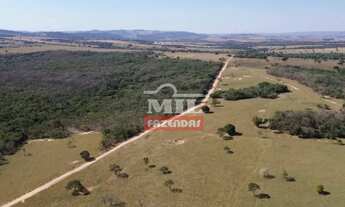 Imagem 6: Fazenda 17.3 Alqueires (83,72 Hectares ) Cezarina - Go