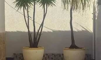 Imagem 2: Casa Casa de Rua com 4 Quarto(s) e 3 banheiro(s) à Venda, 110.00 por R$ 490000.00 no setor