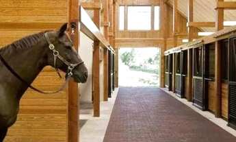 Imagem 7: Chácaras Rio Negro lotes disponíveis com entrada a partir R$41 MIL Pronto