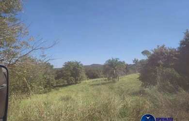 Imagem 7: Fazenda à Venda em Aruanã - GO | 100 Alqueires