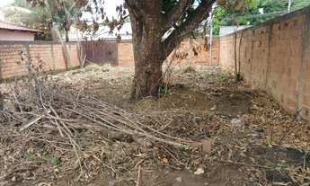 Imagem: Vende-se lote murado