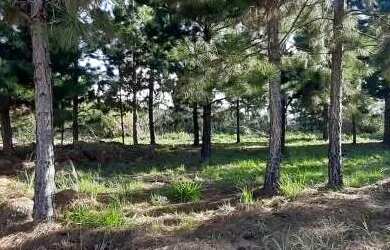 Imagem 7: ÁREA AV RUI BARBOSA CENTRO