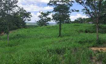 Imagem 2: 54 Hectares de Qualidade/Capacidade 100 Bois..