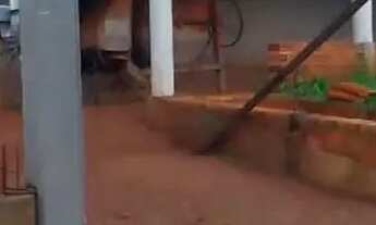 Imagem 6: Vendo chácara em Indiaporã